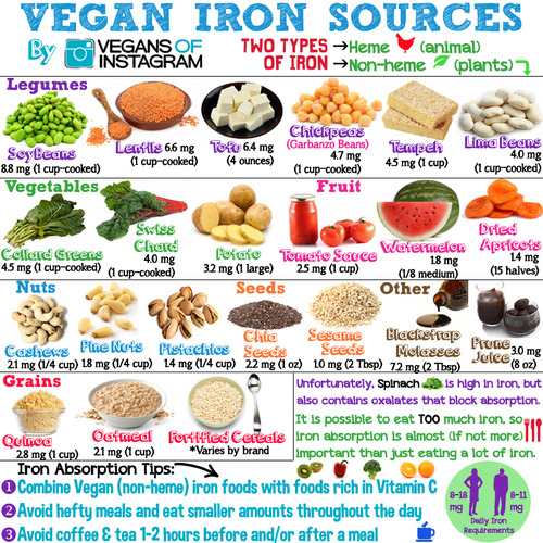 Ask The RD Iron The Nutritionist Reviews