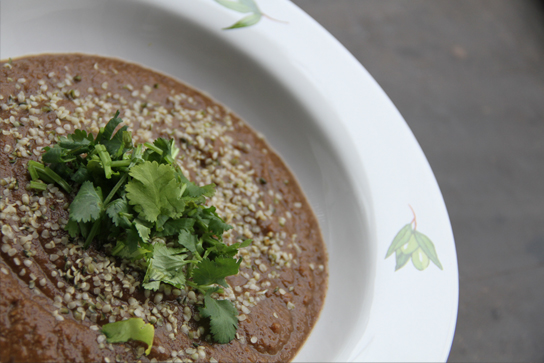 Indian Style Eggplant Soup 2
