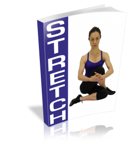 StretchCover-267x300